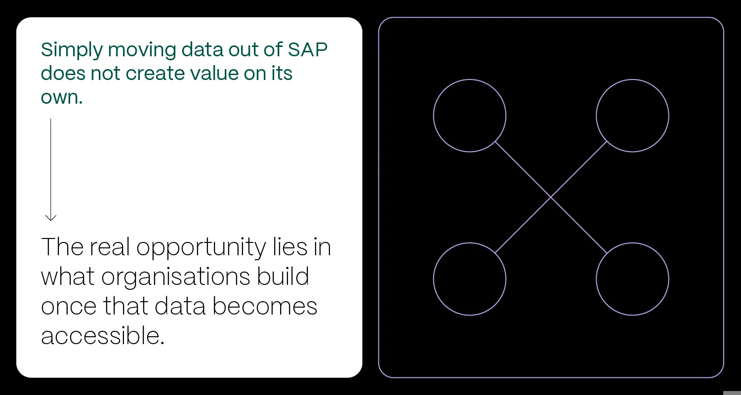 Vizuali Za Novi Tekst SAP DETAILS 03