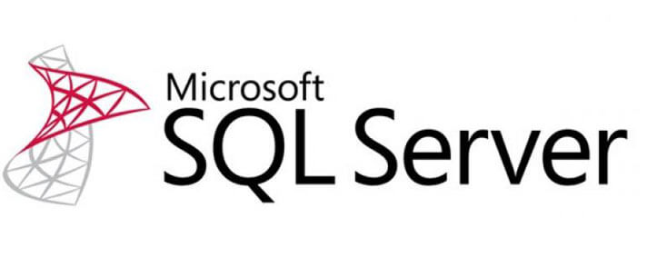 call-sql-serverγçoes-stored-procedure-with-input-parameters-using-petapoco.jpg