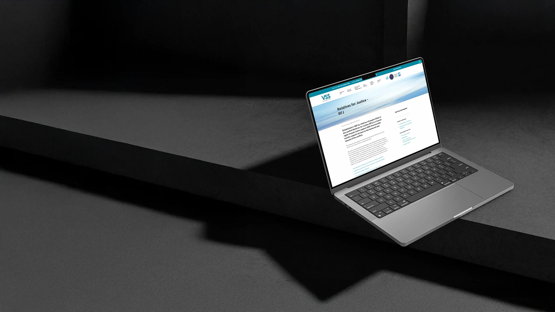 Relatives For Justice Case Study