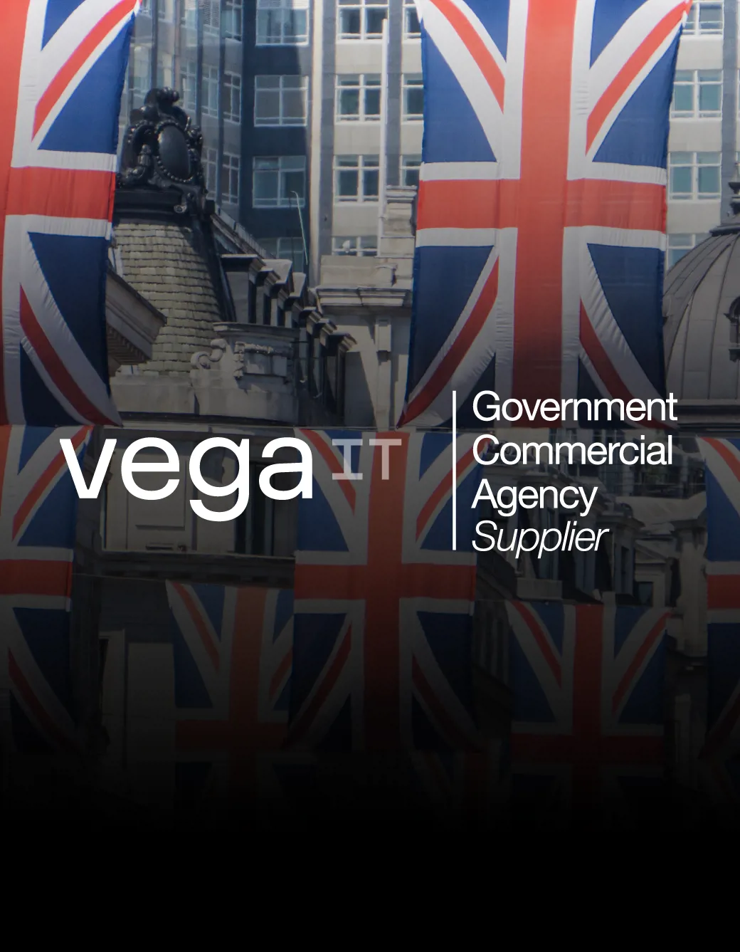 Vegait Is Government Commercial Agency Supplier